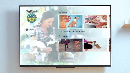 A TV on a wall showing the Madcap University channel's home screen