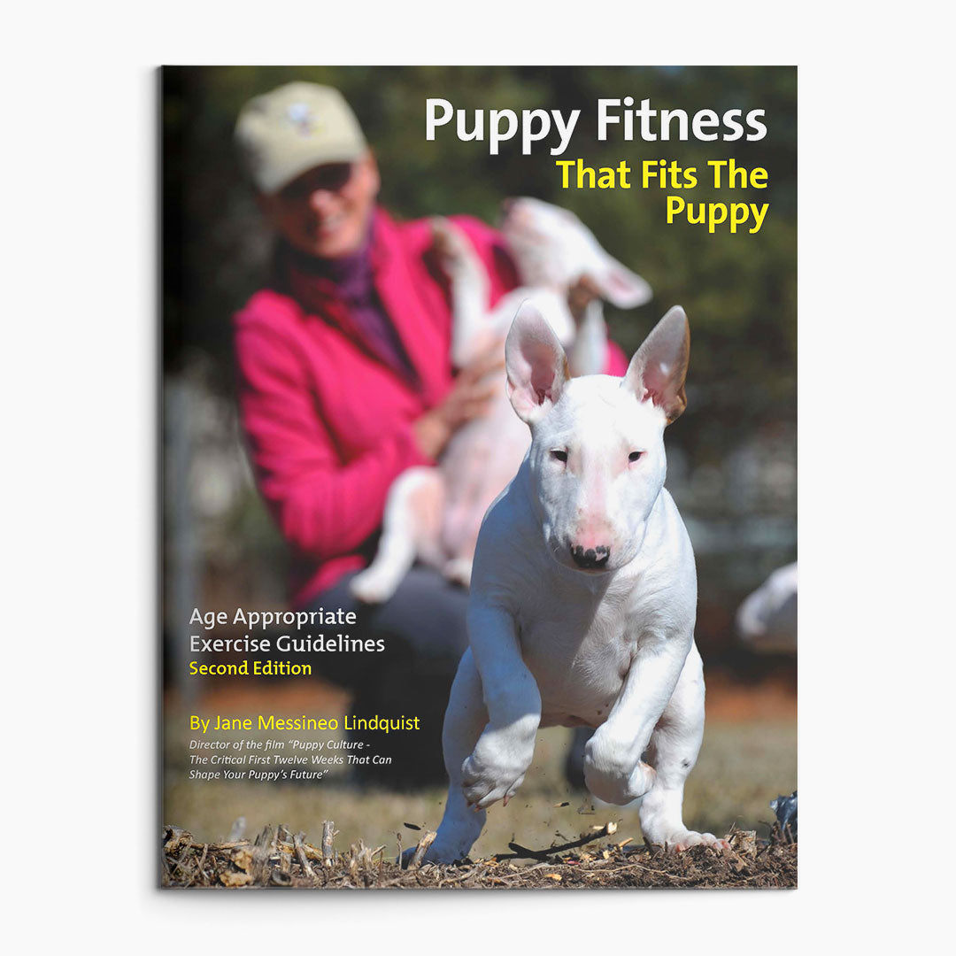 Full Power of Puppy Culture for Singletons – Show Package