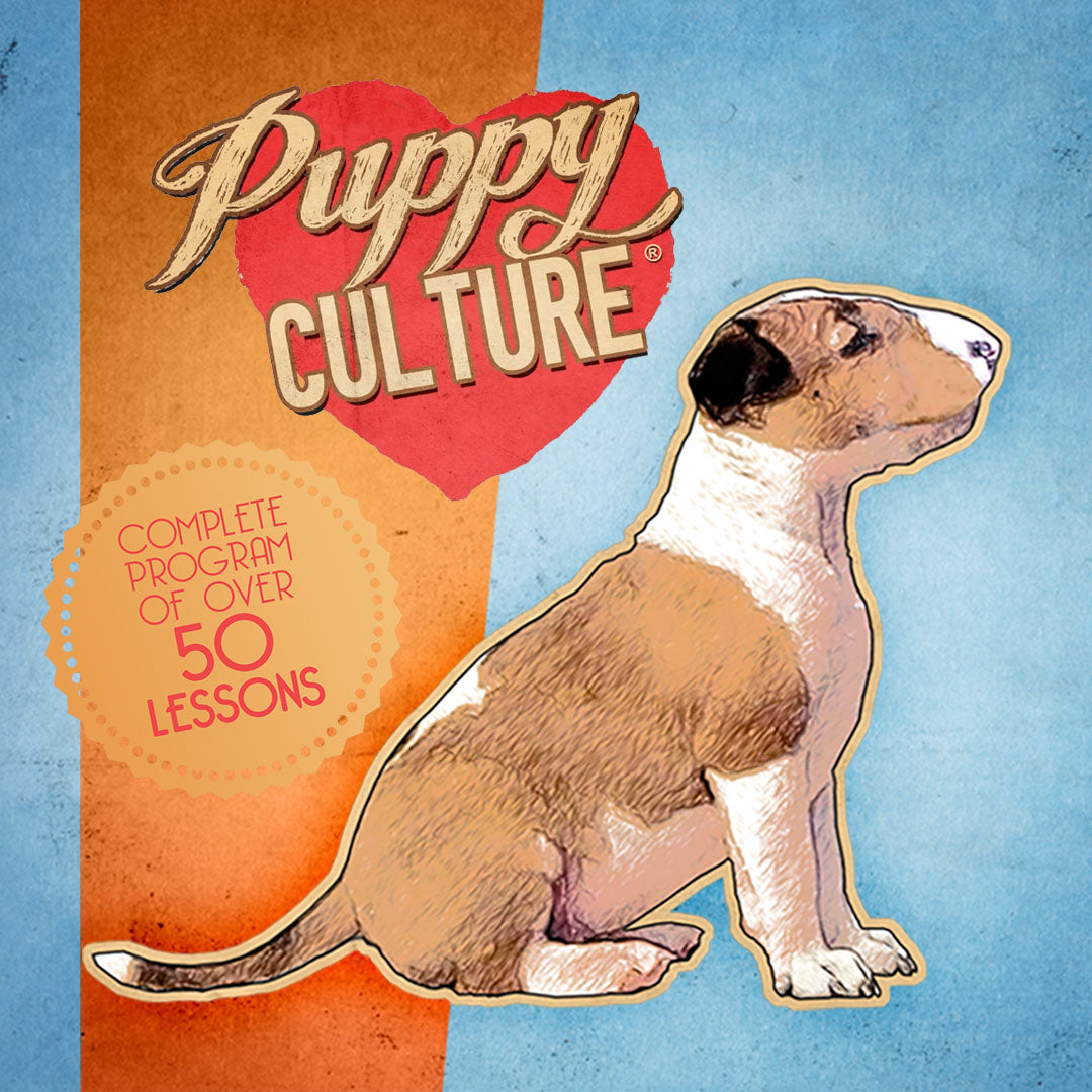 Full Power of Puppy Culture – Show Package