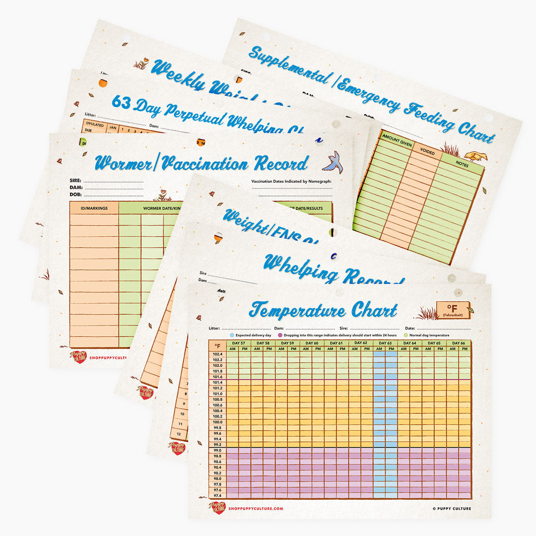 Chart and Worksheet Refill Sheet for Puppy Culture Workbook