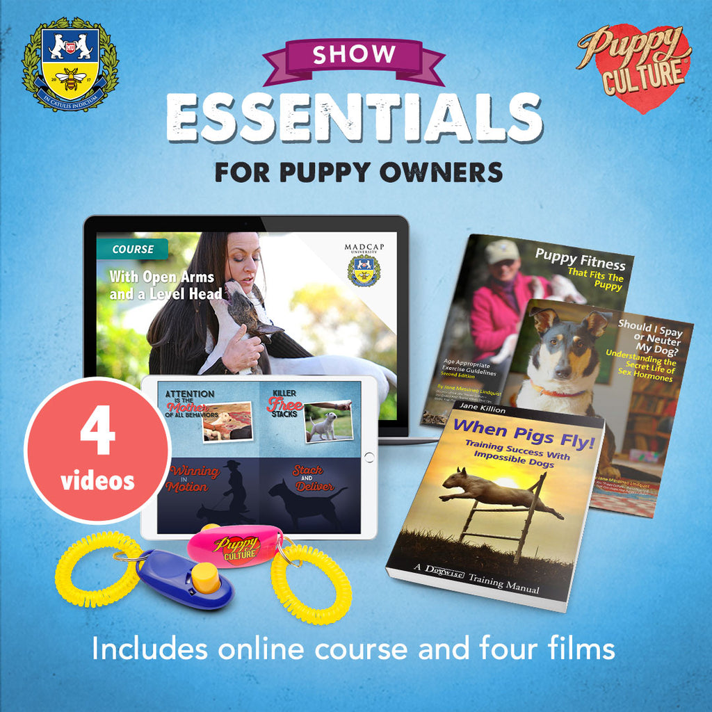 Essentials for Puppy Owners - Show Package