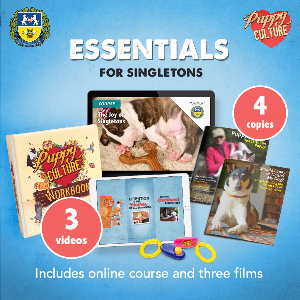 Essentials for Singletons