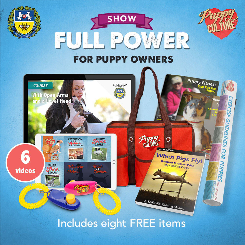 Full Power of Puppy Culture for Show Puppy Owners