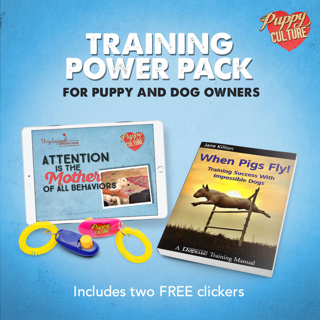 Training Power Pack