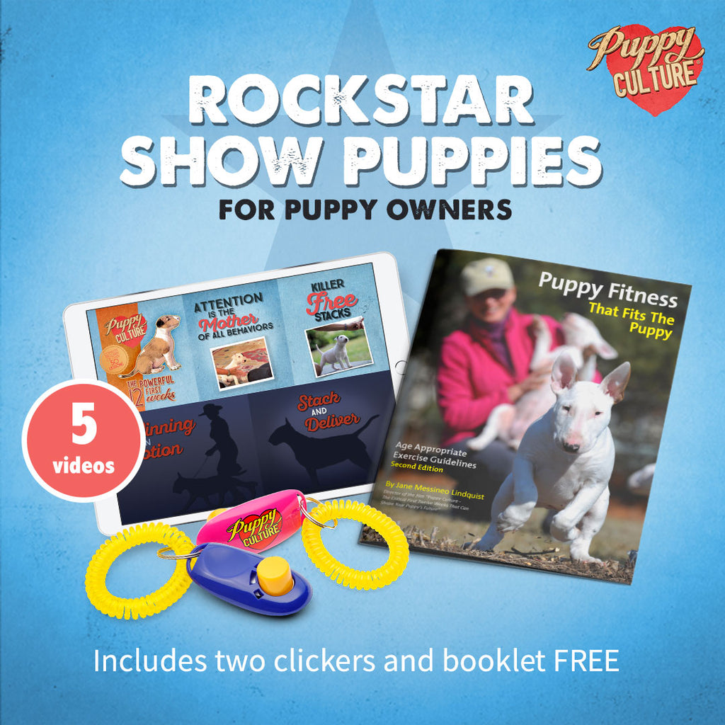 The Rockstar Show Puppies Bundle - For Puppy Owners