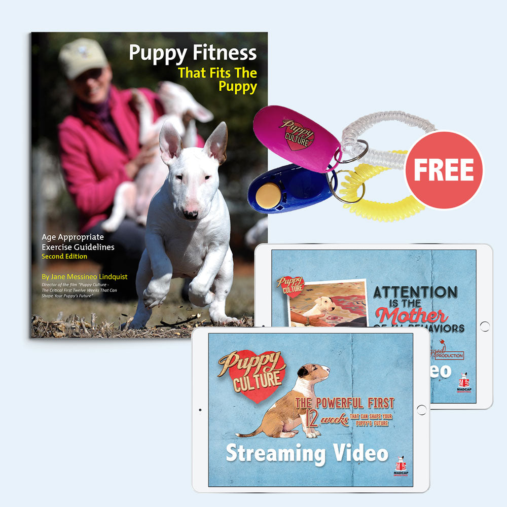 The Getting Started Bundle - For Puppy Owners