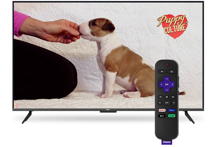 A TV showing a Puppy Culture video, with a Roku remote in front